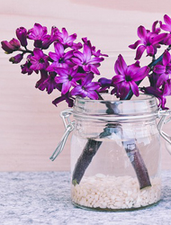 短信轰机轰炸app下载