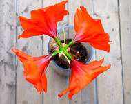 免费短信电话轰炸机